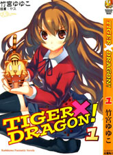TIGER × DRAGON