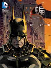 蝙蝠侠：阿卡姆骑士漫画阅读