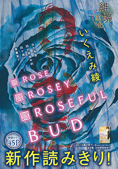 Rose Rosey Roseful BUD