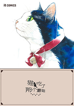 流浪猫的一生