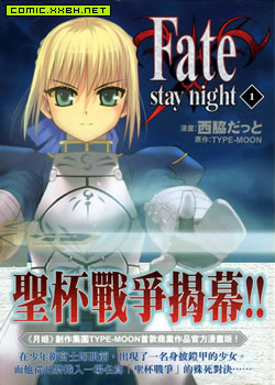 Fate stay night(单行本)