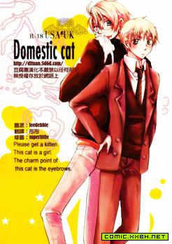 Domestic cat