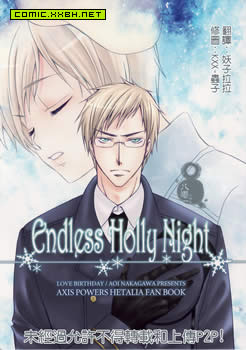 Endless Holly night