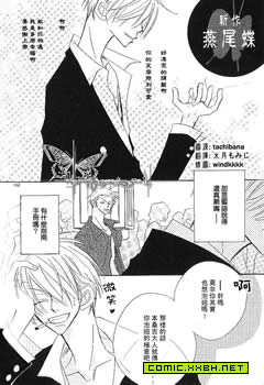 燕尾蝶